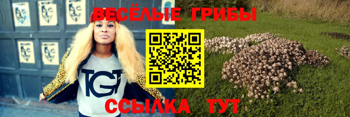 Галлюциногенные грибы ЛСД  как найти закладки  Тулун  Псилоцибиновые грибы Magic Shrooms  Вход с VPN 